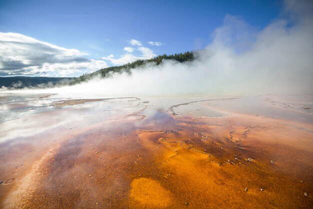 Yellowstone