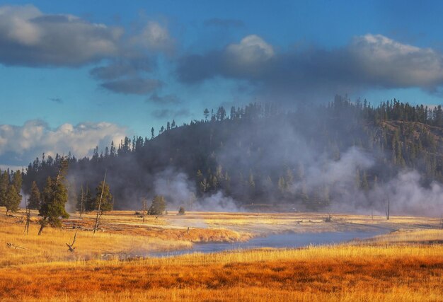 Foto yellowstone