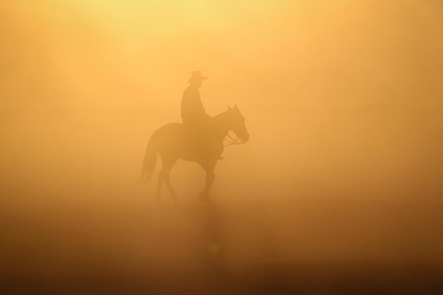 Yilki Horses Running in Field Kayseri Turkey