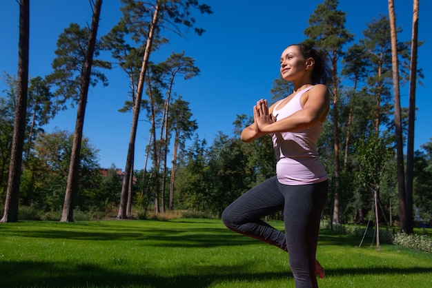 Yoga Balance Vriksha-Asana De boom vormt