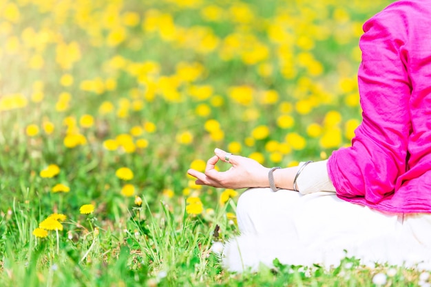 Yogahouding in de natuur