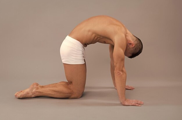 Yogi man do cat pose core yoga workout stretching back torso\
and neck grey background marjaryasana