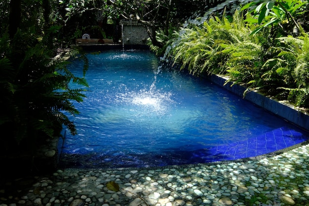 Yogya, Indonesia. March 5, 2022. tropical design swimming pool, with greenery around the pool.