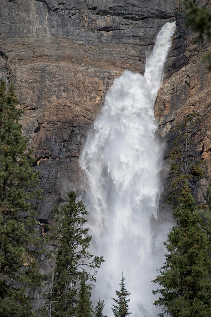 yoho park waterfall detail view