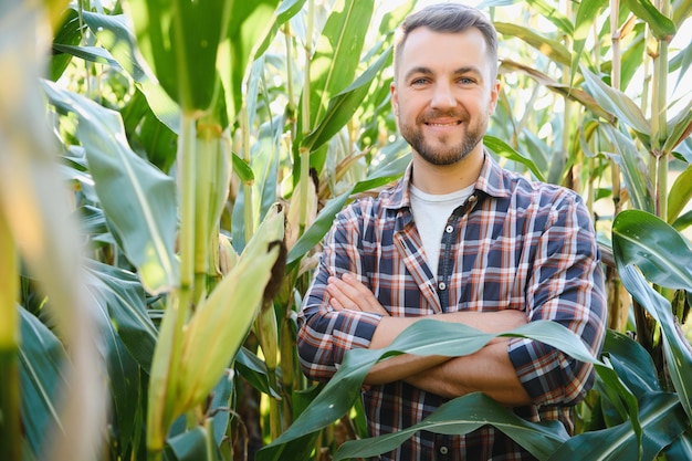Молодой красивый агроном на кукурузном поле и осматривает посевы перед сбором урожая. Концепция агробизнеса. сельскохозяйственный инженер, стоя в кукурузном поле.