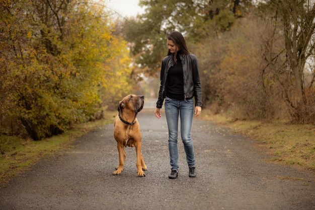 Yong woman with big dog Fila brasileiro breed in autumn park