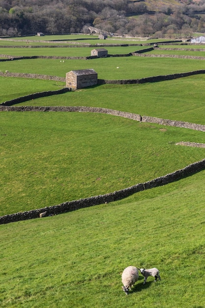 Yorkshire dales