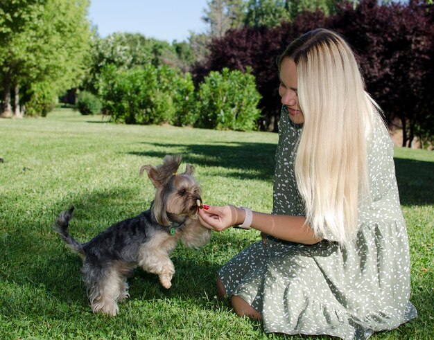 Yorkshire Terrier Meisje knuffelt een hondenras Yorkshire Terrier