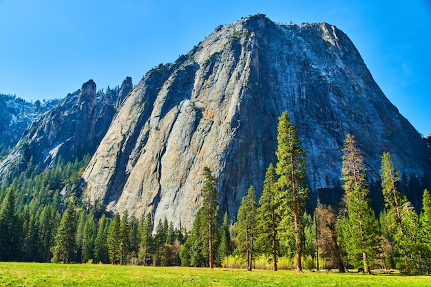 Yosemite iconische kathedraalrotsen van velden en bosbodem