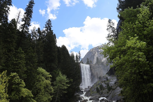 Yosemite in de lente