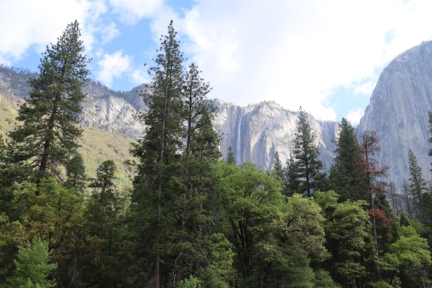 Yosemite in de lente