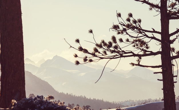 Yosemite-landschappen