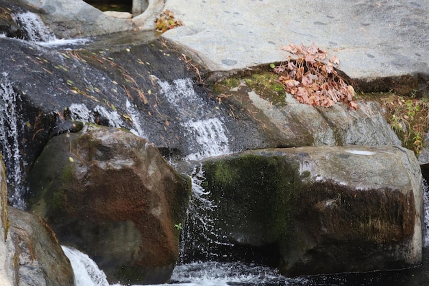 Yosemite Merced rivier en valleien