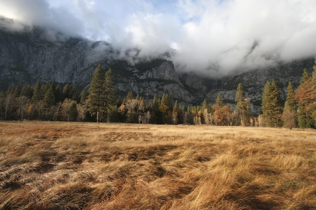 Yosemite nationaal park in de herfst