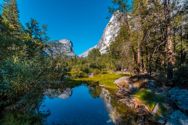 Yosemite National Park, California  United States. Mirror lake and its beautiful reflections in the water