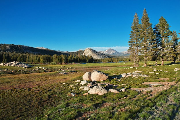 Parco nazionale yosemite in california, usa