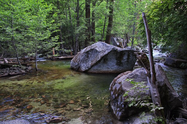 Йосемитский национальный парк в Калифорнии, США