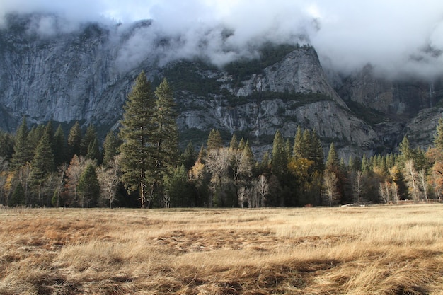 Yosemite national park in the fall