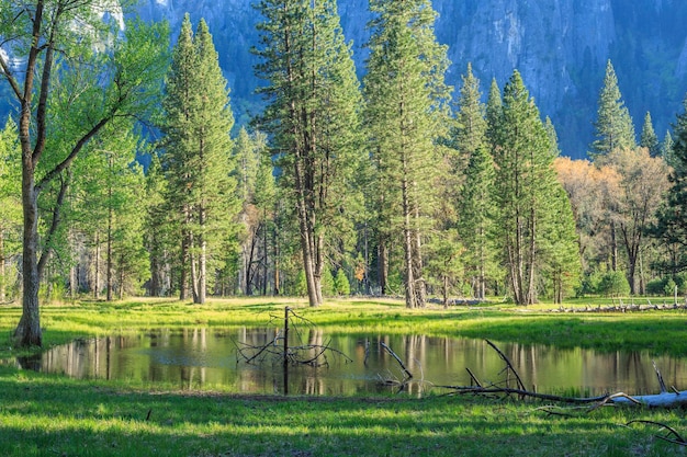 Yosemite National Park, VS