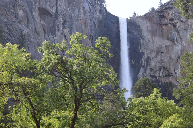 Yosemite in Spring