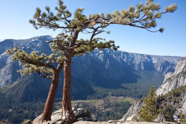 Yosemite