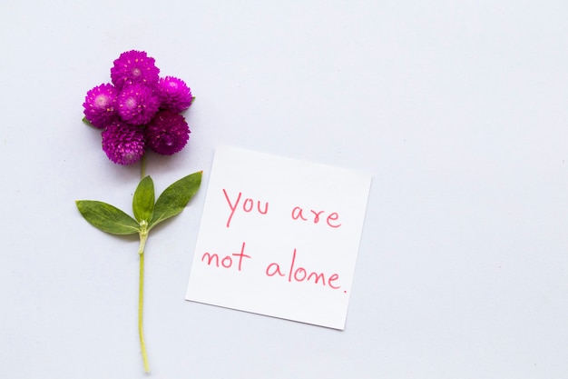 Photo you are not alone message card with flowers