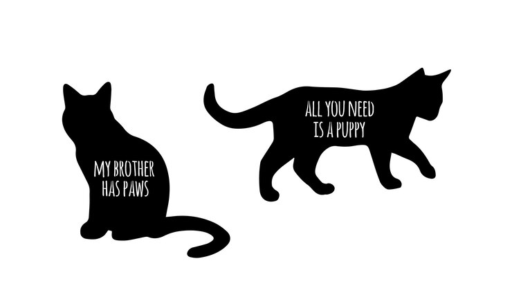Photo 너와 나와 고양이 svg cat svg cat svg bundle 손으로 그린 고양이에 대한 영감을 주는 인용구