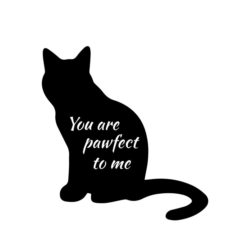 Photo 너와 나와 고양이 svg cat svg cat svg bundle 손으로 그린 고양이에 대한 영감을 주는 인용구