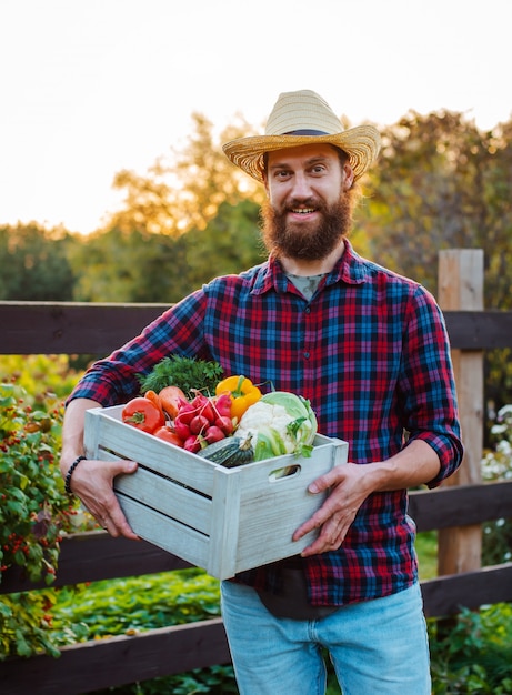 Young 30-35 years old young bearded man male farmer hat with box fresh ecological vegetables garden  sunset.