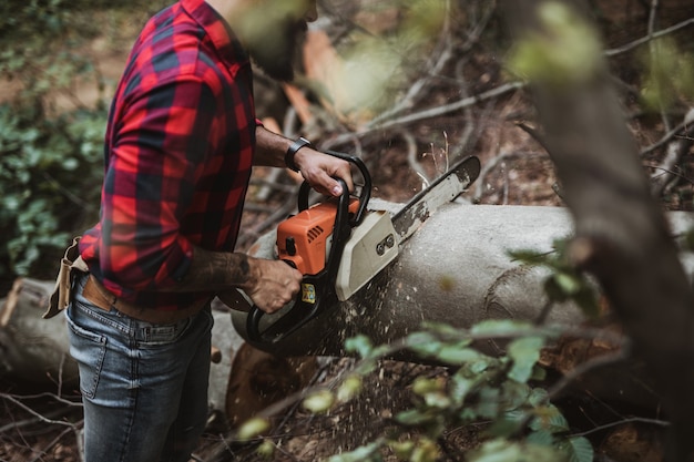 Young adult lumberjack or logger working in woods with chainsaw.