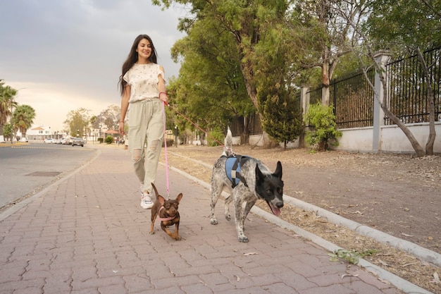 Giovane donna adulta che porta a spasso i suoi cani nel parco all'aperto concetto di petlove