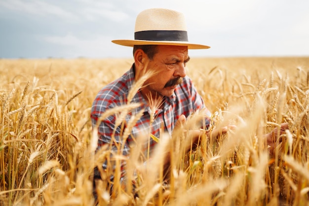 Young agronomist in grain field Farmer in the straw hat standing in a wheat field Cereal farming