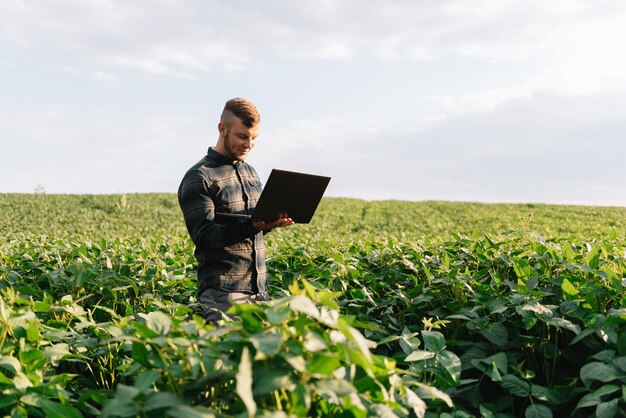 젊은 농학자는 콩밭에 태블릿 터치패드 컴퓨터를 들고 수확하기 전에 작물을 검사합니다. 농업 관련 개념입니다. 여름에 태블릿을 들고 콩밭에 서 있는 농업 기술자