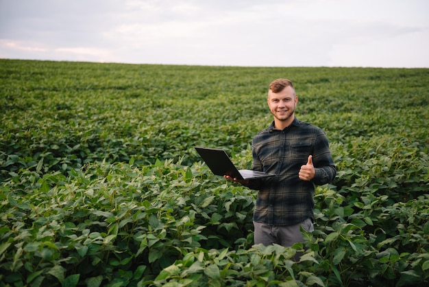 Young agronomist holds tablet touch pad computer in the soy field and examining crops before harvesting. Agribusiness concept. agricultural engineer standing in a soy field with a tablet in summer