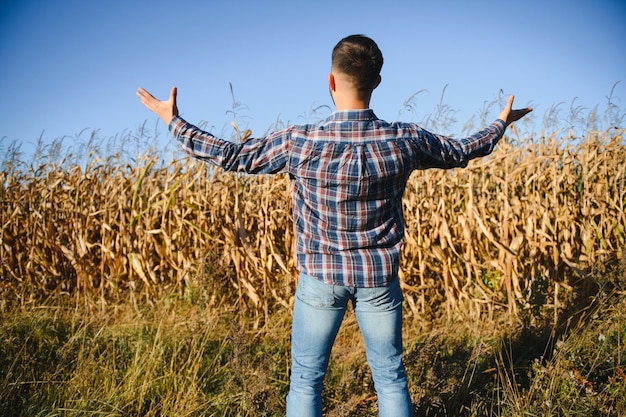 A young agronomist inspects the quality of the corn crop on agricultural land Farmer in a corn field on a hot sunny day