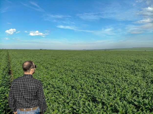 Young agronomist in the soy field