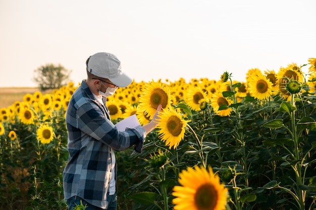 Giovane agronomo con maschera facciale che lavora nel campo di girasole