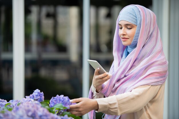 屋外のスマートフォンで素敵な青いアジサイを撮影するヒジャーブの若いアラビア女性