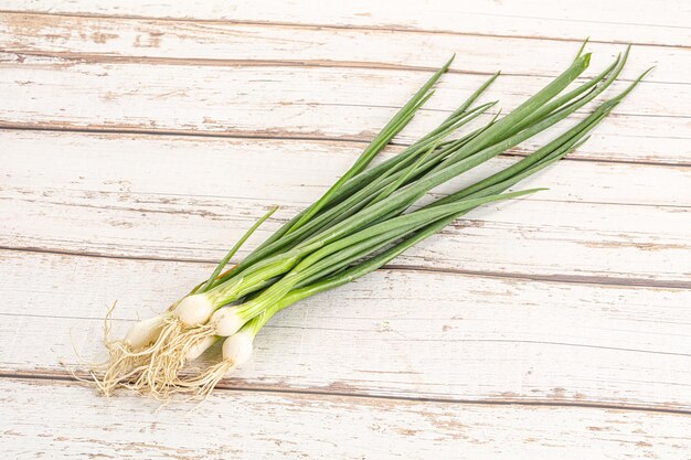 Young aroma fresh green onion