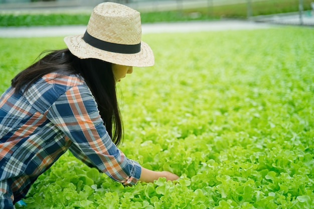 Ragazza graziosa del giovane agricoltore asiatico che lavora nell'azienda agricola idroponica delle verdure con felicità