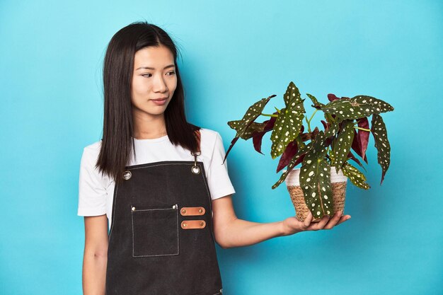 植物のスタジオショットを保持している若いアジアの庭師