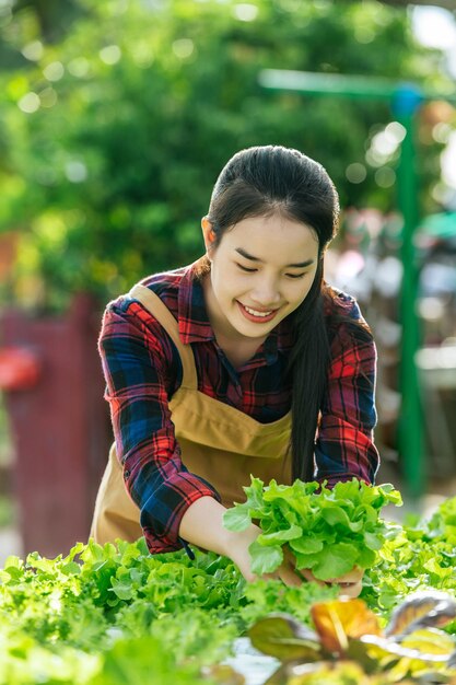 Young asian girl farmer holding hands for checking fresh green oak lettuce salad organic hydroponic vegetable in nursery farm business and organic hydroponic vegetable concept