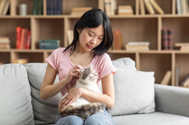 Young asian lady sitting on sofa in living room holding fluffy cat korean female owner giving pet