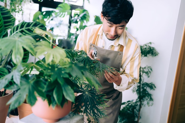 アジア出身の男性花屋さんを経営している 店内で様々な植物を扱い世話している 植物と一緒にいることを楽しんでいる 小規模なビジネスのコンセプト