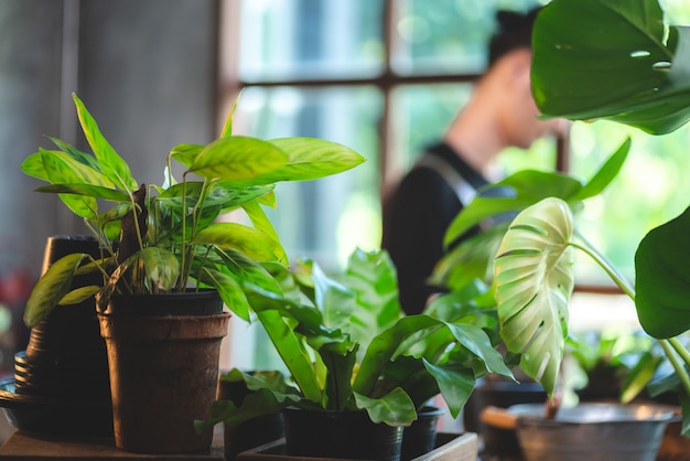 Молодой азиатский мужчина доволен выращиванием растений в небольшом зеленом саду дома, хобби, образом жизни с зеленой природой в доме, цветочным деревом в горшке для выращивания в ботаническом саду и сельском хозяйстве