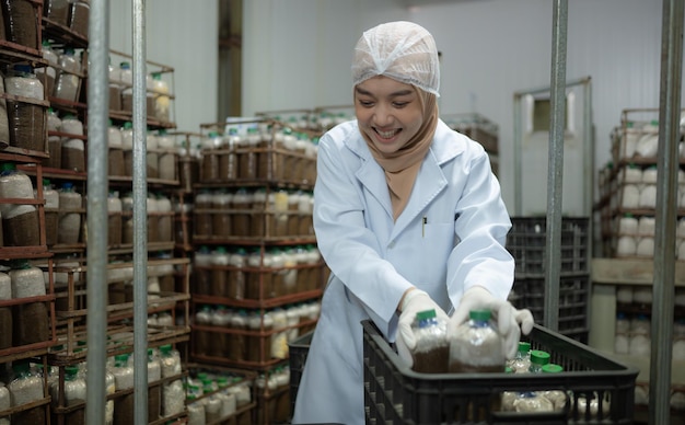 Young asian muslim female scientist doing research at a mushroom factory investigating the growth of fungi in mushroom lumps in a sterile and temperaturecontrolled room