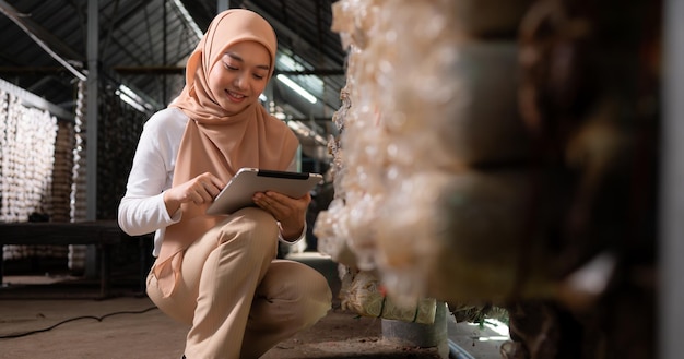 キノコ工場でアジアの若いイスラム教徒の女性科学者の研究作業が行われ、実験室での実験のためにキノコ小屋で成熟したキノコを収集