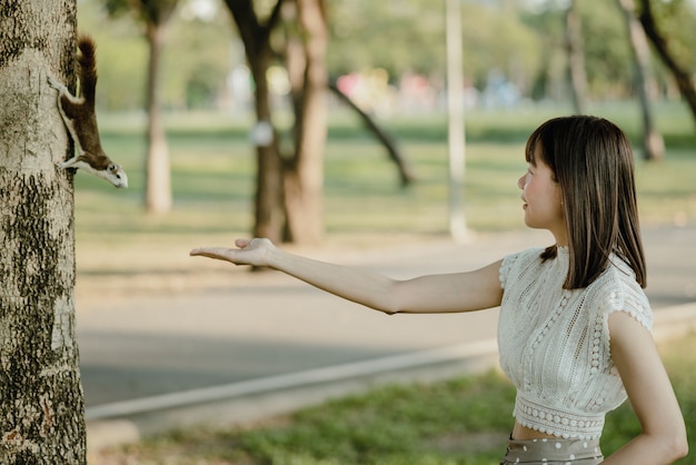 写真 白い服を着た若いアジアの笑顔の女性は、自然の公園を散歩中に偶然見つけた木の上に立っている茶色のリスにナッツを手渡した