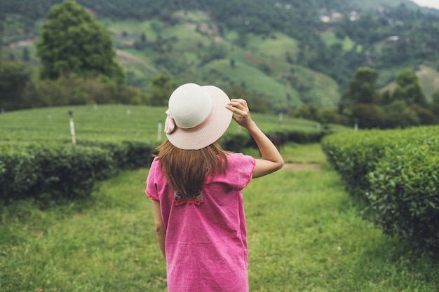 茶園を楽しむ若いアジア人の旅行者