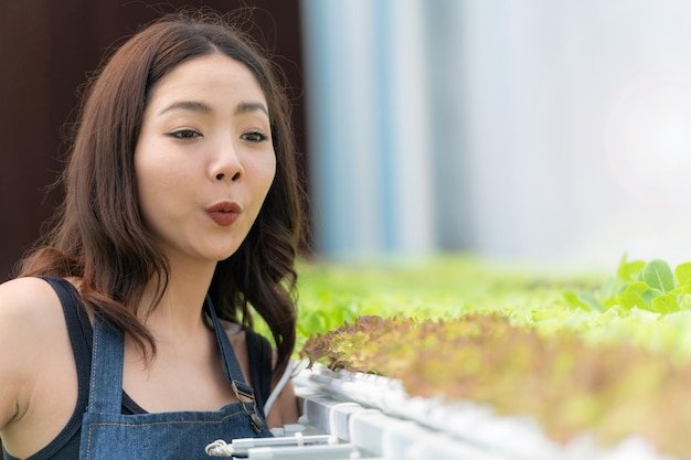 Giovane donna asiatica che controlla presso l'azienda idroponica nella serra azienda agricola idroponica